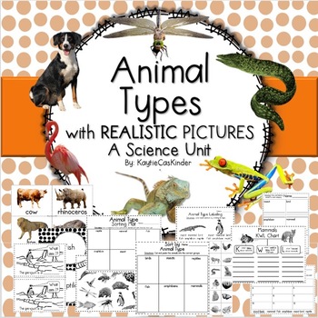 Preview of Animal Types with REALISTIC Pictures: A Science Unit
