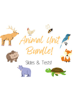 Preview of Animal Unit - Science Bundle