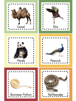 Animal Unit Study: Animal Sorting and Classification by Simply Schoolgirl
