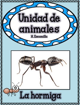 Preview of Animal Unit - The Ant - in Spanish