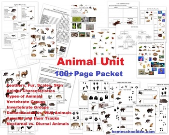 Preview of Animal Unit – Vertebrate and Invertebrate Characteristics (and more!) 100+ pages