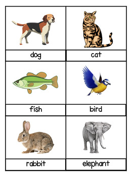 Animal Visual Cards by Miss DeBrouwers Resources | TPT