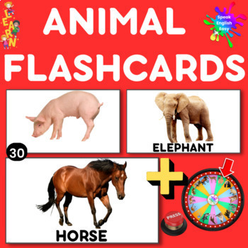 Animal Vocabulary Flashcards- ESL Learning, PowerPoint and PDF | TPT