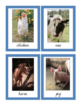 Preview of Animal Vocabulary Picture Cards