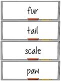 Animal Vocabulary Word Wall and Activities Set