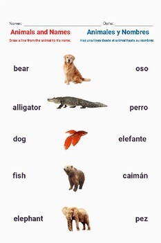Preview of Animal Vocabulary Worksheet Bundle - English and Spanish