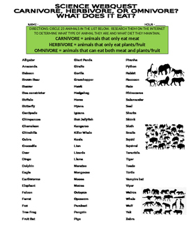 Preview of Animal Webquest (Carnivore, Herbivore, Omnivore) - Science / Ecosystems