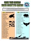 Animal Webquest Crossword Puzzle (scientific names / zoolo