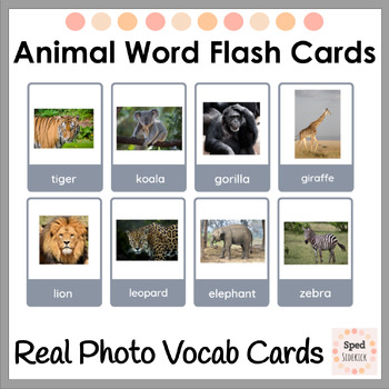 Preview of Animal Word Flash Cards