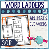 Word Ladders and Word Chains Phonics Games - Science of Re