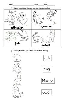 Animal Worksheet by DANIEL GONZALEZ | Teachers Pay Teachers