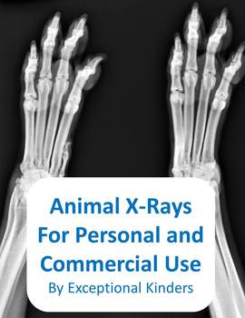 Preview of Animal X-Ray Images for Commercial Use