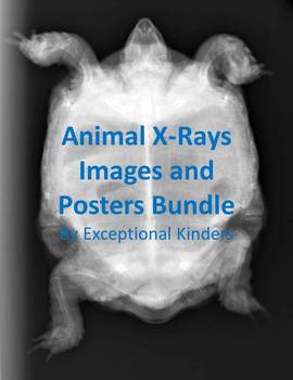 Preview of Animal X-Ray Images for Commercial Use and Posters Bundle