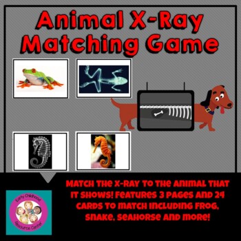 Preview of Animal X-Ray Matching Game