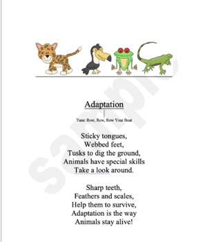 Preview of Animal adaptation Poem