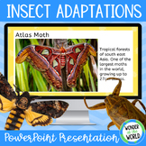 Animal adaptations PowerPoint slide show presentation and 