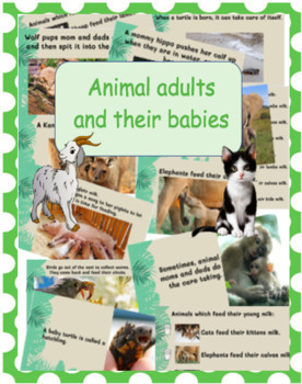 Preview of Animal adults and their babies