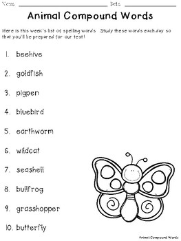 Animal and Bug Themed Compound Word Spelling & Word Work Activities!