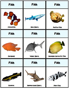 Fish Characteristics and Differences From Other Animals