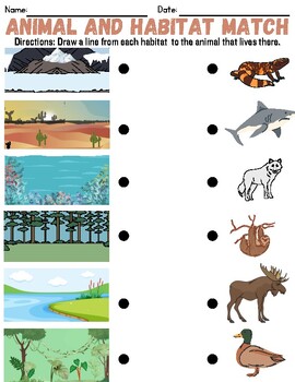 Preview of Animal and Habitat Matching Activity