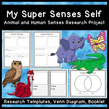 Animal and Human Senses Research Project by Prime Time With Ms K