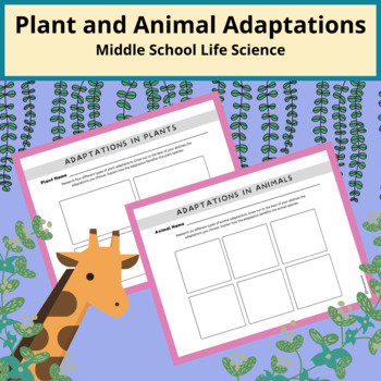 Preview of Animal and Plant Adapatations Draw & Label Activity - Middle School Life Science