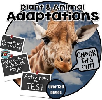 Preview of Plant and Animal Adaptations