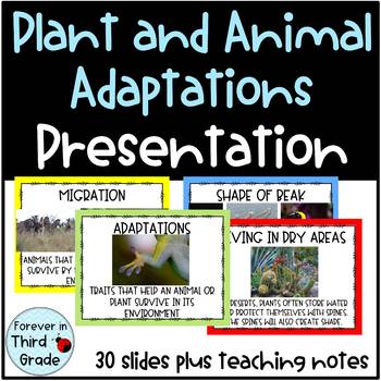 Animal and Plant Adaptations Presentation by Forever In Third Grade