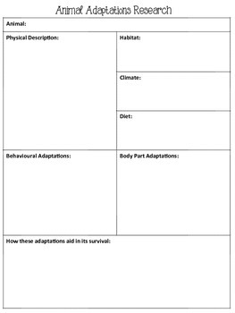 Animal and Plant Adaptations Research Graphic Organiser by Mrs Six