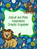 Animal and Plant Adaptations Research Graphic Organiser