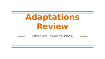 Preview of Animal and Plant Adaptations Review - Editable
