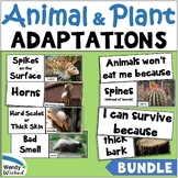 Animal and Plant Adaptations for Structure and Function of