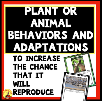 Preview of Animal and Plant Behavior Adaptations for Successful Reproduction PHOTO PROMPTS