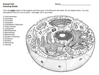 Plant And Animal Cells Coloring Sheet Worksheets Teaching Resources Tpt
