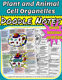 Animal and Plant Cell Organelles "Doodle" Style Notes, wit