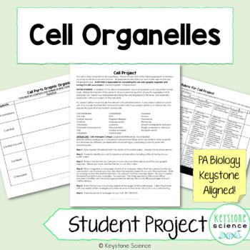 Preview of Animal Plant Prokaryotic Cell Parts Comparison Project with Rubric