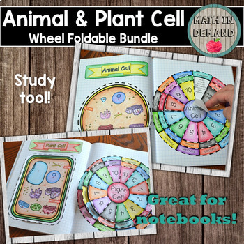 Preview of Animal and Plant Cell Wheel Foldable Bundle