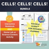 Animal and Plant Cells Bundle | Google Slides™ + PDF
