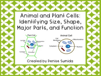 Animal and Plant Cells: Identifying Size, Shape, Major ...