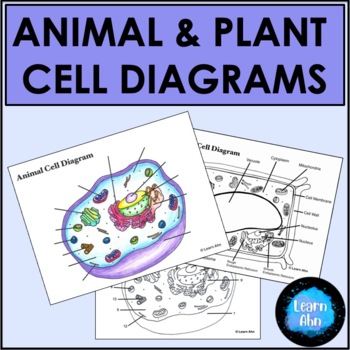 Animal and Plant Cells ⭐ Labeling & Coloring Diagrams ⭐ Functions Review
