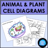 Animal and Plant Cells ⭐ Labeling & Coloring Diagrams ⭐ Fu