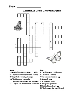 Preview of Animal and Plant Life Cycle Crossword Puzzles