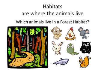 Preview of Animal and Their Habitats