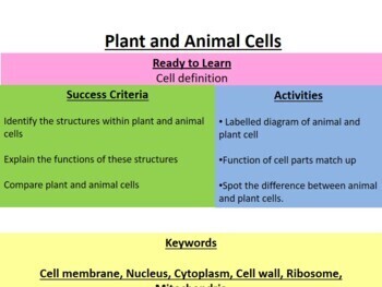 Animal and plant cells lesson PowerPoint by biologystem | TPT