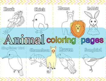 Preview of Animal and things coloring sheerts with vocabulary A