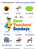 Animal body parts in French Worksheets, Games, Activities 