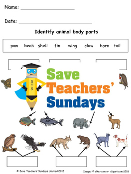 Preview of Animal body parts lesson plan and worksheets (2 levels of difficulty)