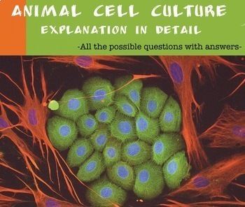 Preview of Animal cell culture 