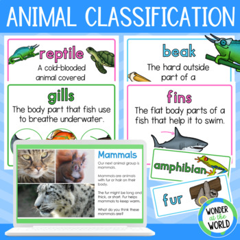 Preview of Animal classification Google Slides presentation and vocabulary word wall