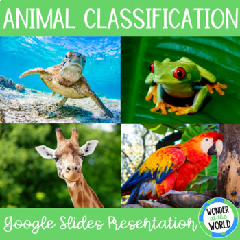 Preview of Animal classification Google Slides slideshow Presentation first second grade